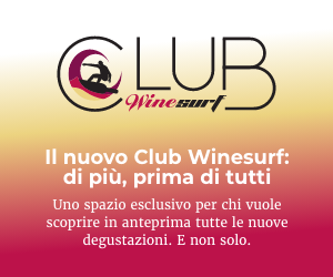 Logo Winesurf Club
