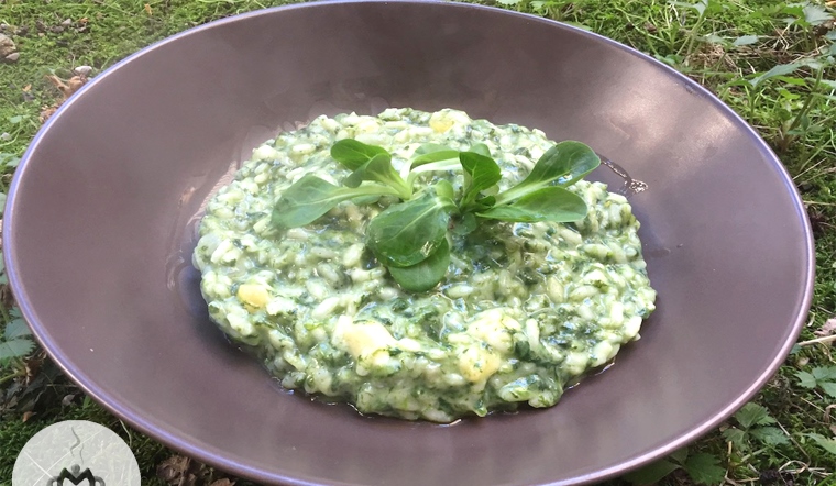 Risotto al verde ai tre formaggi - WineSurf