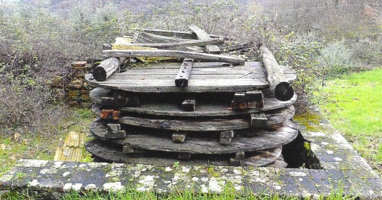 Torneremo in Toscana ad usare legno di castagno per le botti? Forse si, ma…