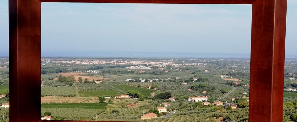 Bolgheri Rosso 2024 e Superiore 2023, buoni risultati da due annate difficili