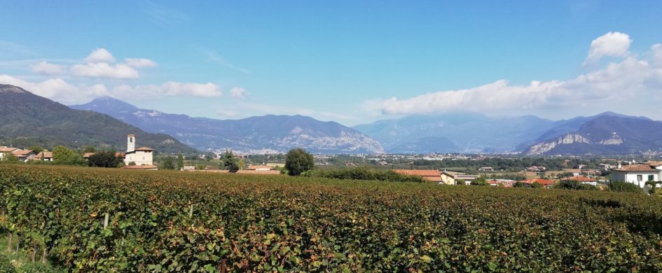Ancora pochissimi posti! Dal 20 al 22 ottobre con Winesurf tra Franciacorta, Soave, Valpolicella e Custoza