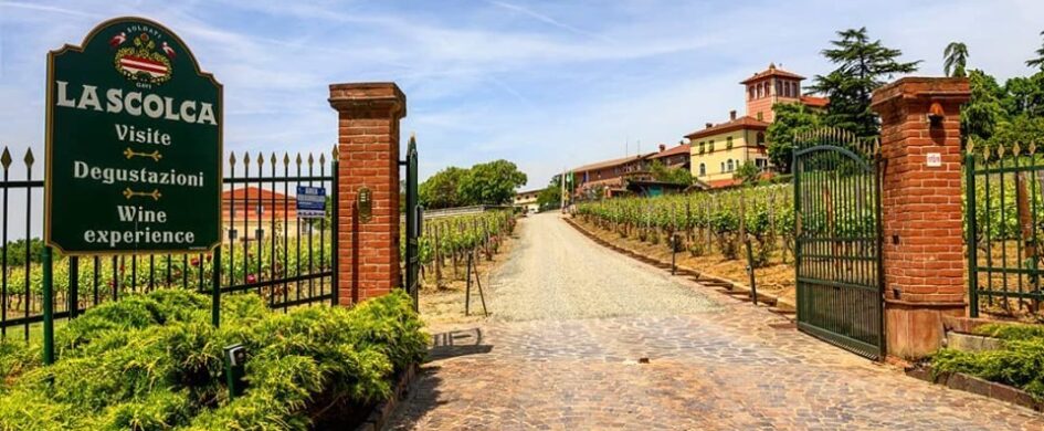 InvecchiatIGP: Soldati La Scolca D’Antan Brut Millesimato 2003, La Scolca