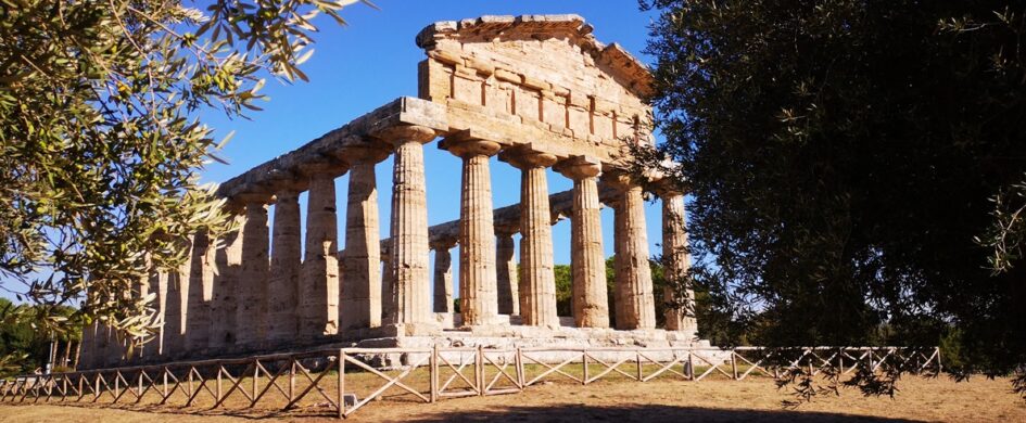 Taurasi, Aglianico e Piedirosso della Campania: evoluzioni positive