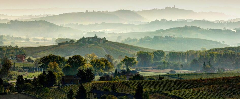 Barbera d’Asti, Barbera d’Asti Superiore, Nizza, e altri vini del Monferrato: un quadro molto vario