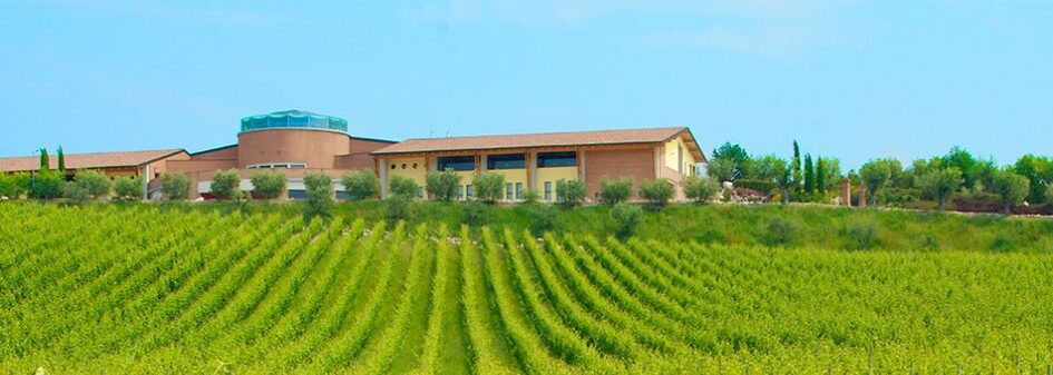 InvecchiatIGP: Lugana Superiore DOC 2011 Madonna della Scoperta, Perla del Garda