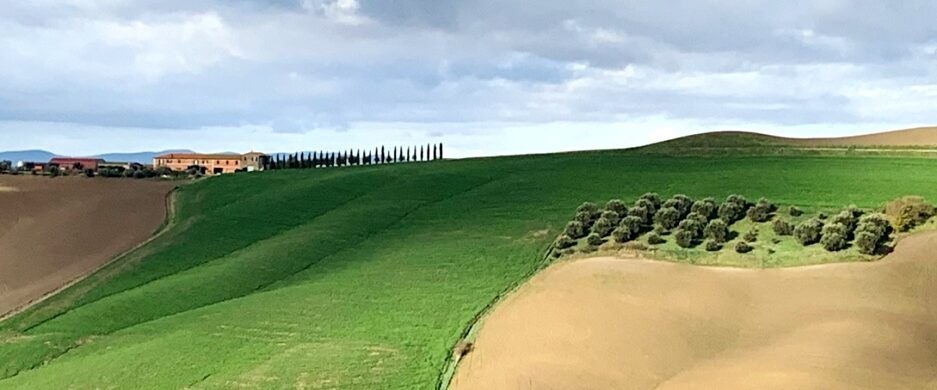 Orcia Doc: pare Narnia ma qui c’è il vino!