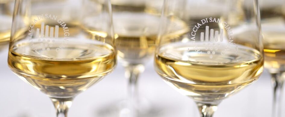 Degustazioni Vernaccia di San Gimignano: la grande e bella sorpresa delle Riserva