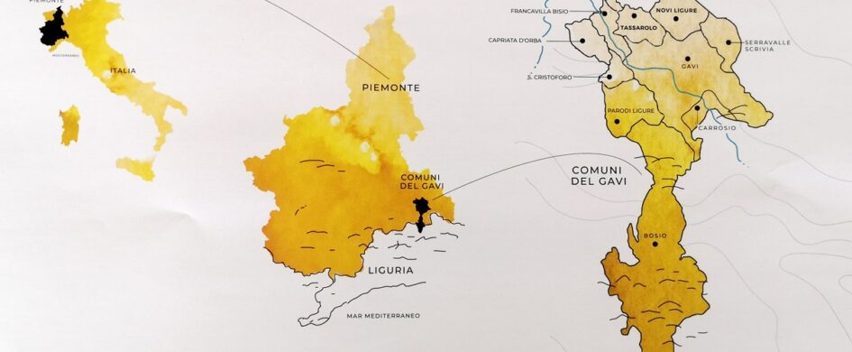 Gavi 2025: annata “salata” e piacevole
