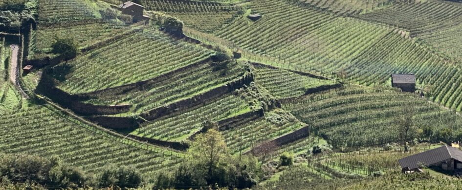 Cembra, il coraggio dei non eroi