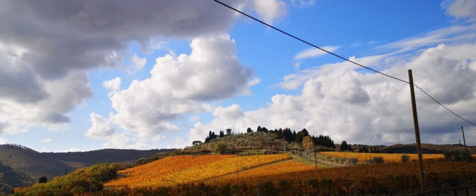 Degustazioni Chianti Classico Annata, Riserva e Gran Selezione: un quadro complesso su cui riflettere