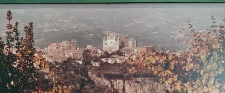 Orvieto per la guida Winesurf: quattro punti da tenere presenti