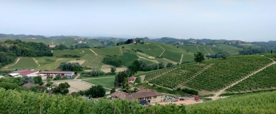 Degustazione Roero: largo ai giovani!