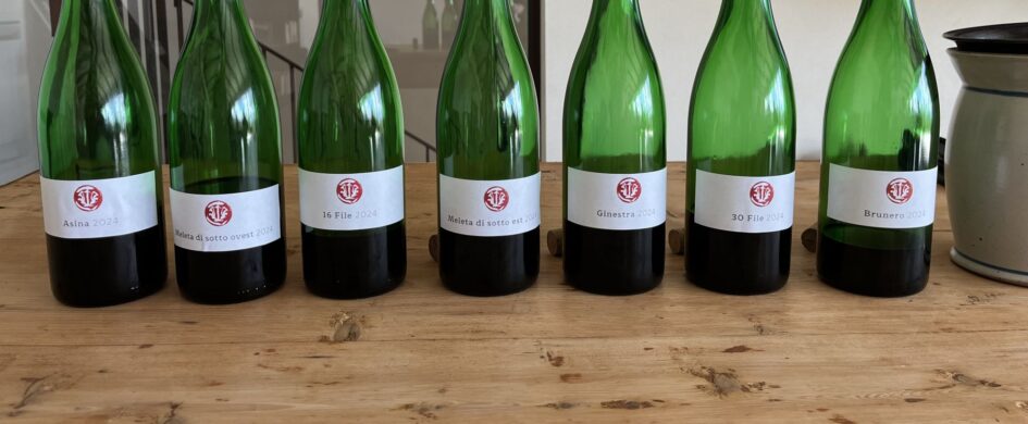 Ampeleia e Podere Mastrilli: naturale si o naturale no?