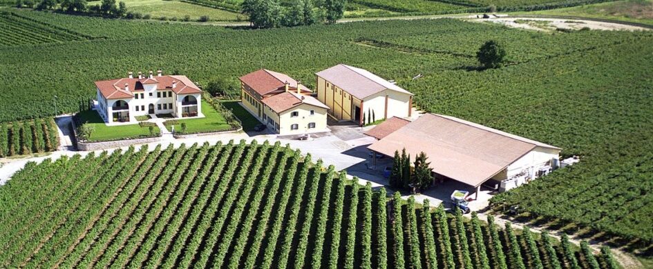 MenoDodidIGP: Custoza DOC 2025, Monte del Frà
