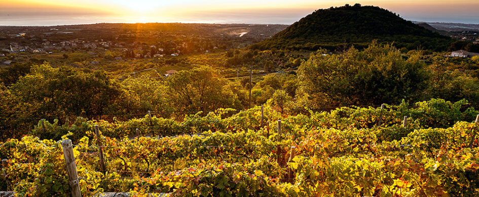 Sosta tre Santi Brut 2022, Tenute Nicosia