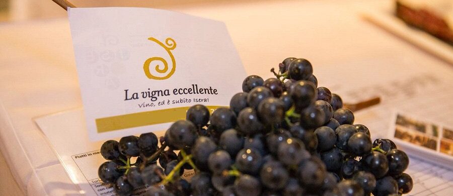 In Vallagarina un convegno per la "vigna eccellente"
