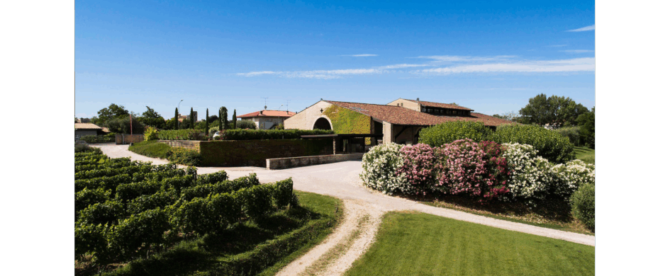 Il rosa antico dei rosa antichi: Valtènesi doc 2011 Molmenti, Costaripa