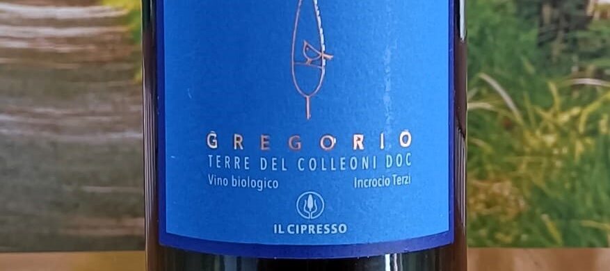 VINerdì IGP: Terre del Colleoni Doc Incrocio Terzi “Gregorio” 2021, Il Cipresso