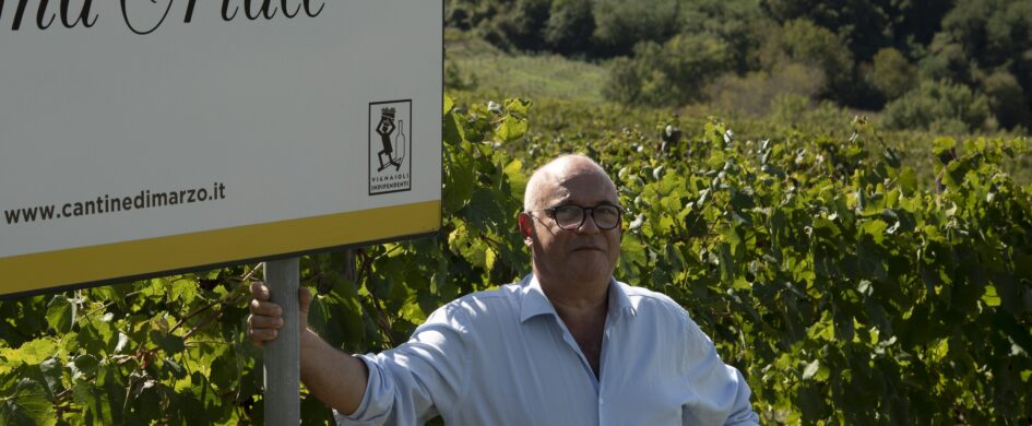 Miglior bianco italiano. Ferrante di Somma (Cantina di Marzo): "Ho sempre pensato che il Greco  potesse invecchiare meglio del Fiano."