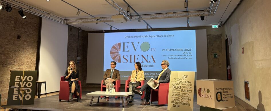 EVO in Siena, per uscire dal medioevo dell'olio extravergine d'oliva