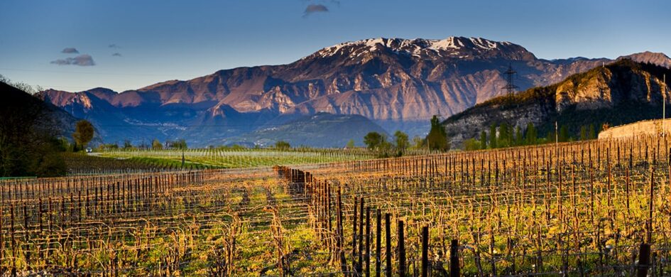 Franciacorta: alcune difficoltà in mezzo a grandi possibilità