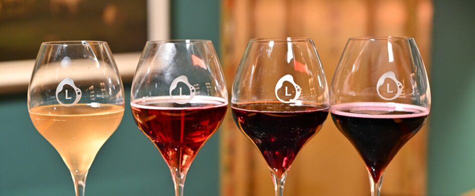 Intervista natalizia "al Lambrusco": identità e futuro di un grande vino popolare