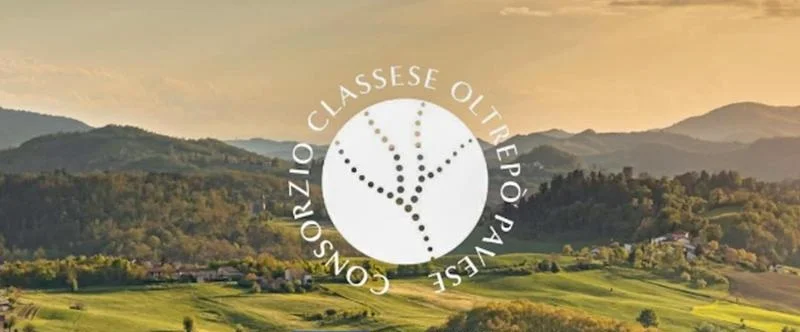 Oltrepò Pavese metodo classico: buoni, anzi ottimi risultati. Peccato che...