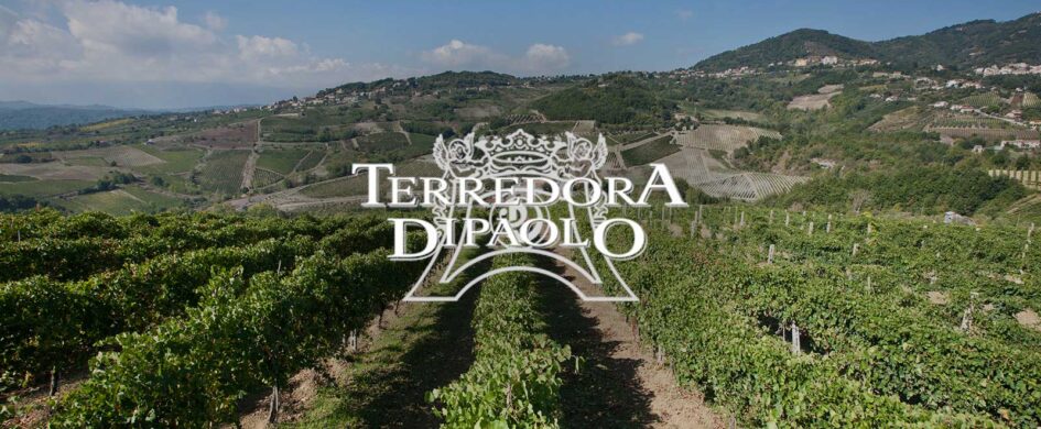 Invecchiato igp. Taurasi Pago dei Fusi 2005, Terredora