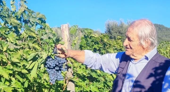 Addio a Gennaro Papa, l'uomo che ha migliorato la sua terra
