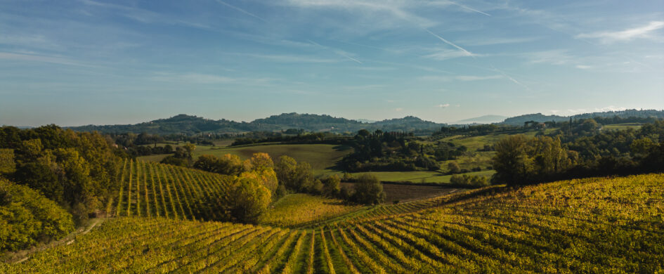 InvecchiatIGP: Chianti Colli Senesi DOCG 2013, San Gregorio