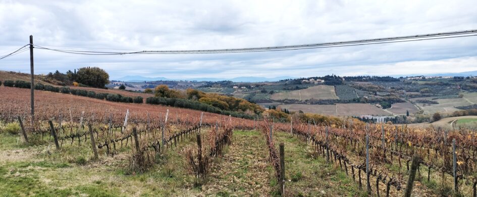 A Montespertoli presentazione della mappa dei vigneti: un modo per capire sulle spalle di chi siamo