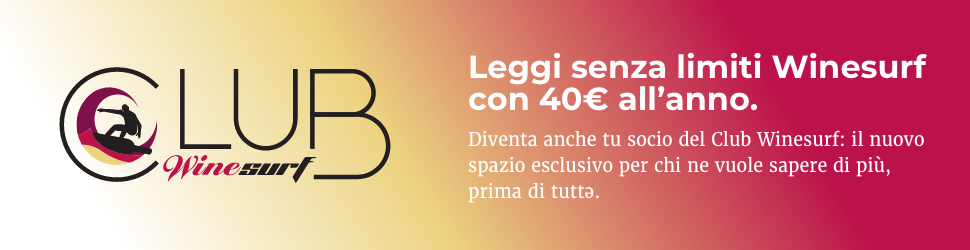 Banner Winesurf Club