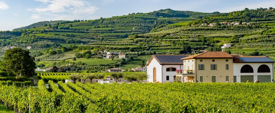 Soave DOC Le Calle 2024, Ilatium Morini