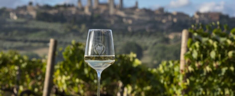 A San Gimignano sessanta anni di DOC