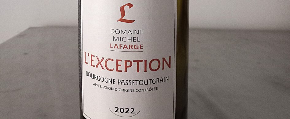 Bourgogne Passetoutgrains L’Exception 2022, Domaine Michel Lafarge