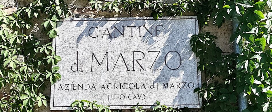 Cantine Di Marzo: dove il Greco di Tufo non è (ancora) divino ma già uno e trino