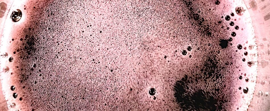 La "Mossa Perfetta" per tornare a parlare di buona Bonarda in Oltrepò Pavese