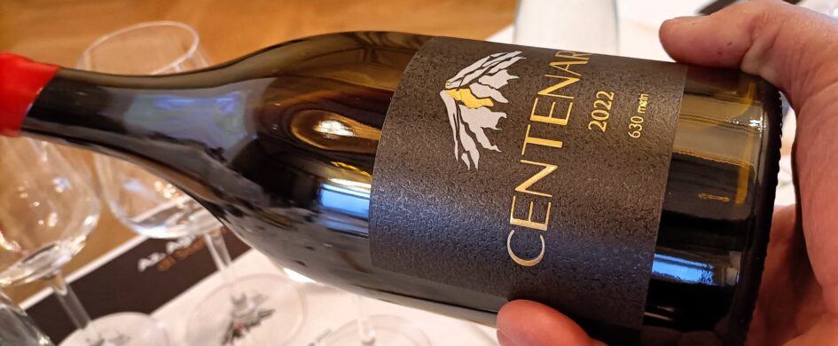 Sciara, i vini dell’Etna di Stefan Yim