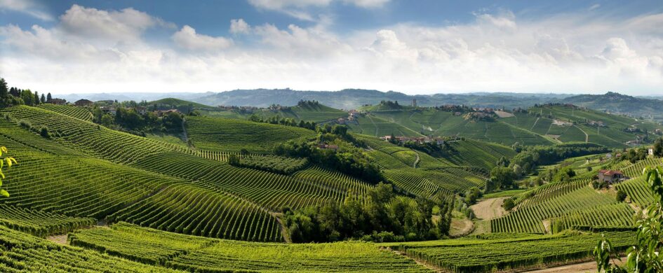 Langhe DOC in bianco: un assaggio con belle luci ma qualche ombra di troppo