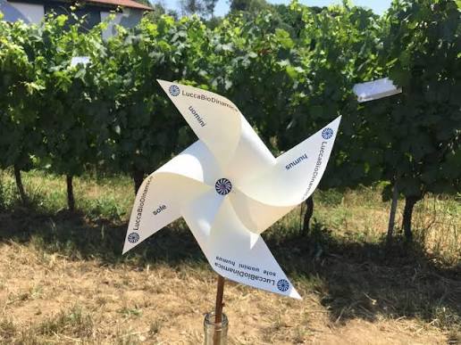 Vini di Lucca biodinamica: una degustazione che ci ha sorpreso e fatto capire tante cose