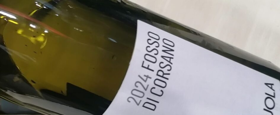 Colli di Luni DOC Vermentino Fosso di Corsano 2024, Terenzuola