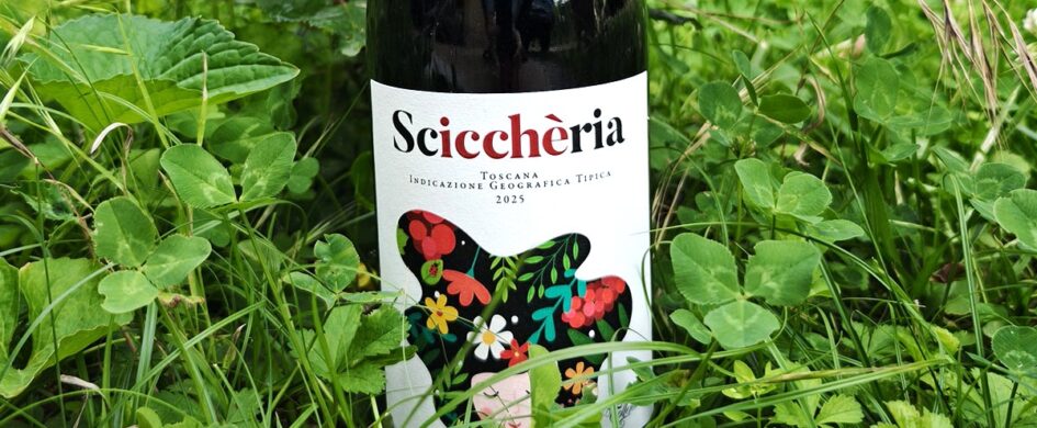 MenoDodiciIGP: Toscana Rosso IGT Scicchèria 2024 Borgo Tollena