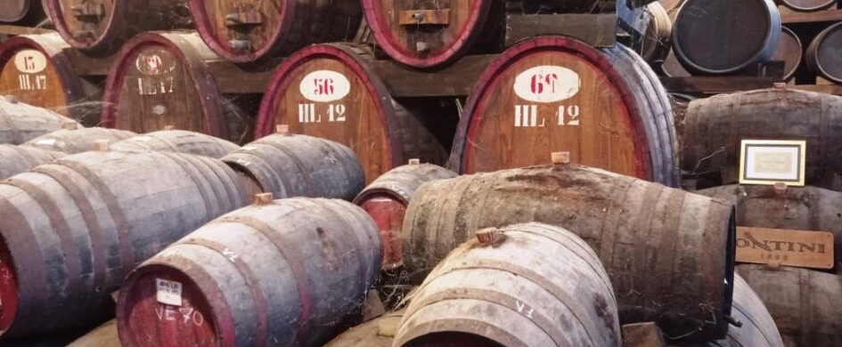 Contini e il fascino della Vernaccia di Oristano