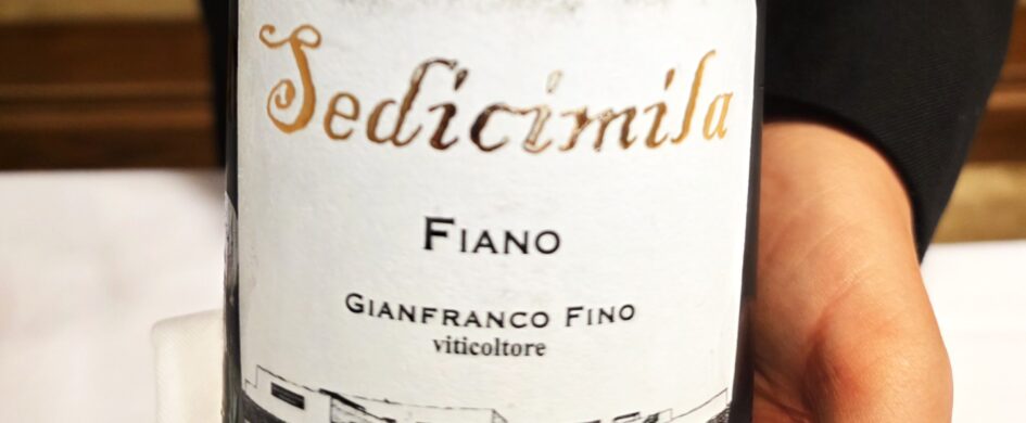 VINerdìIGP: Salento Fiano IGT Sedicimila 2024, Gianfranco Fino