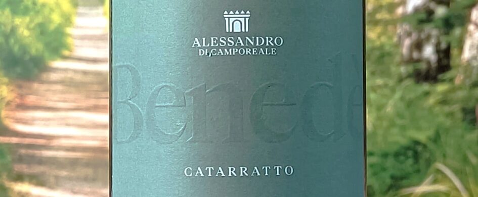 MenoDodiciIGP: Sicilia Doc Catarratto Benedè 2025, Alessandro di Camporeale