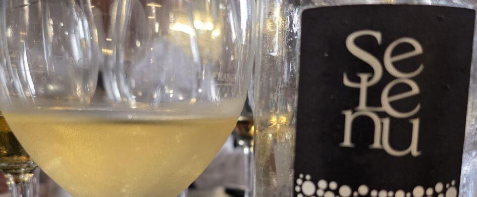 InvecchiatIGP: Vermentino di Gallura Superiore DOCG “Selenu” 2014, Tenute Gregu