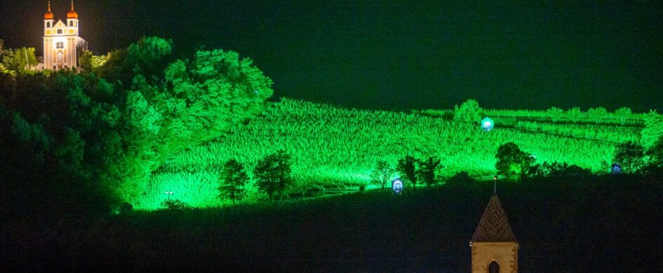 Il vino ad Appiano è al verde, ma è un buon segnale