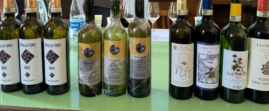Brisighella: Progetto Brix alla terza vendemmia. Si può parlare di uno "stile" per l'Albana?