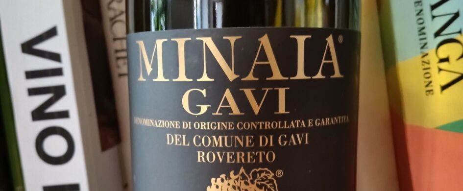 MenoDodiciIGP, Gavi di Rovereto Minaia 2025, Nicola Bergaglio