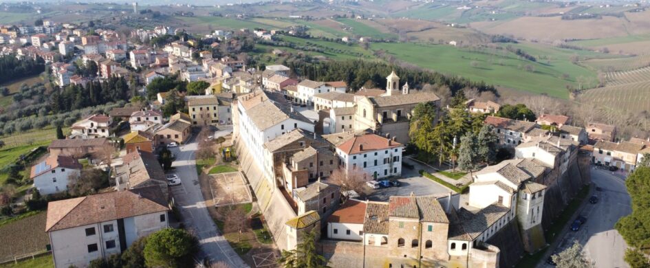 Guida vini. Lacrima di Morro d’Alba: poche ma buone!